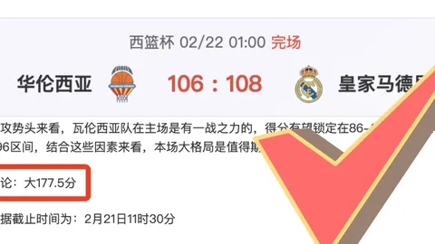 大乐透期号专家推荐：胜负总分详解及福利