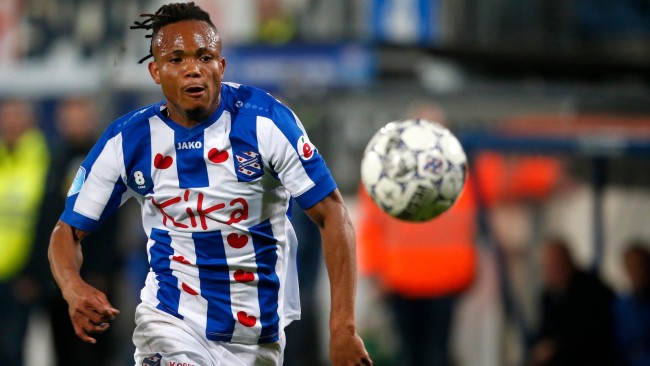 网的机会 网的机会